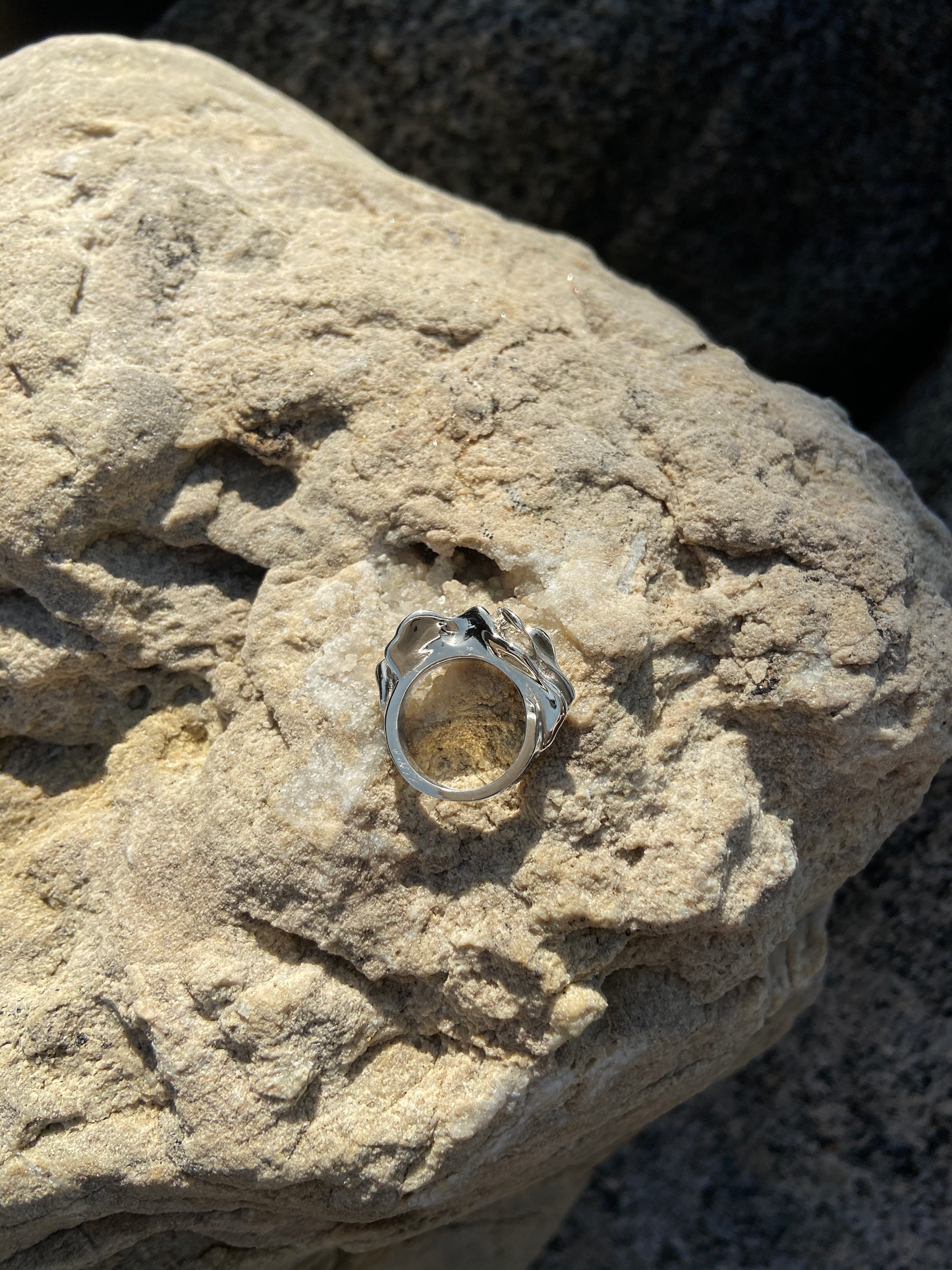 Anillo Fémina Singular Óxido, Plata y Oro